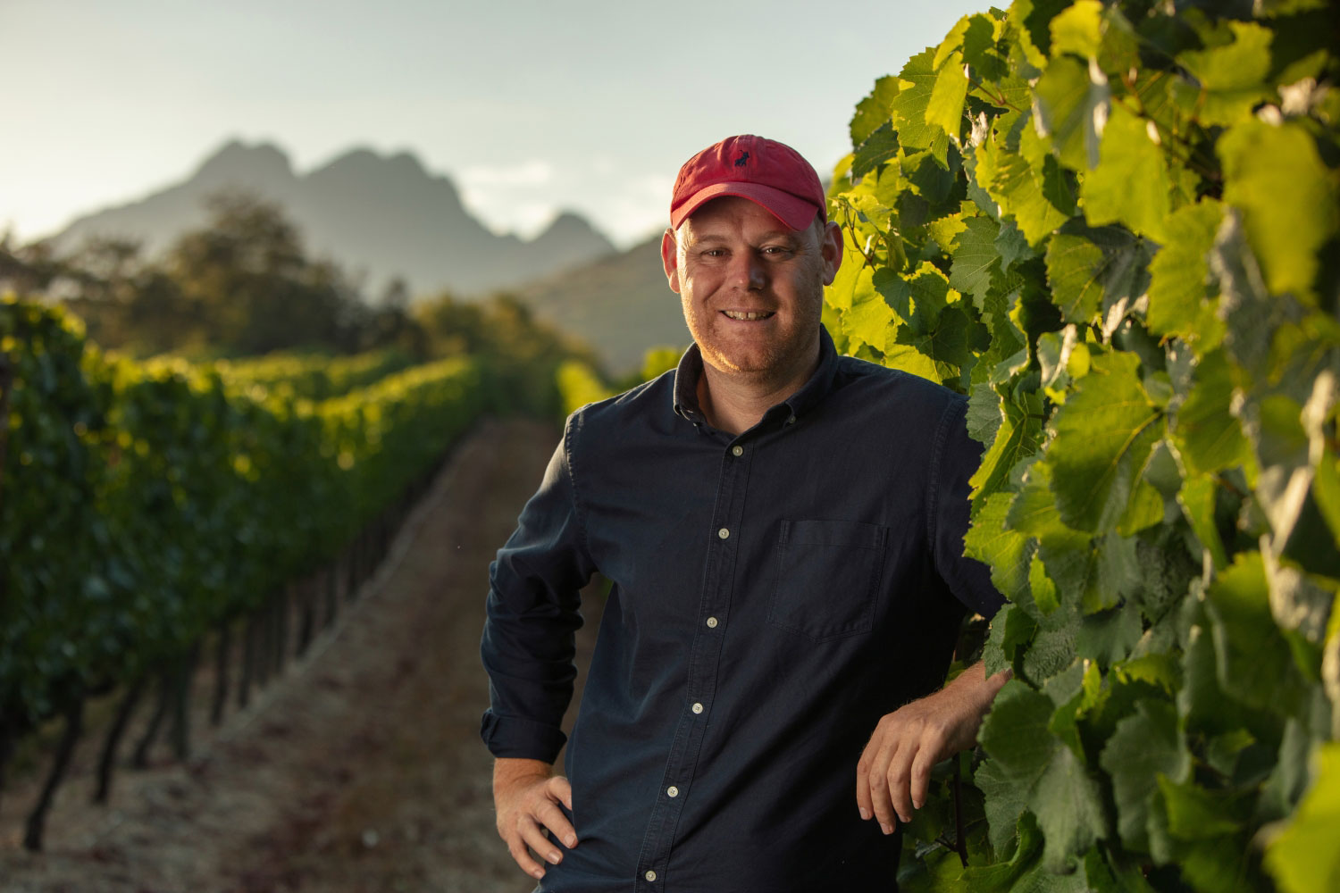 Morne Vrey standing in the vineyards of Delaire Graff Estate