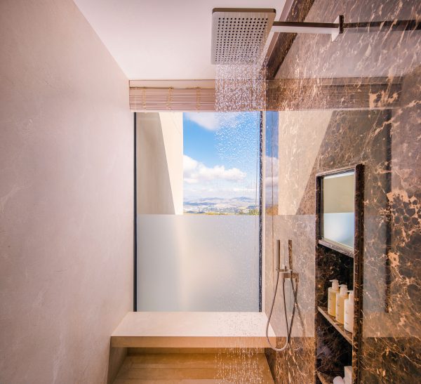 Ensuite Shower