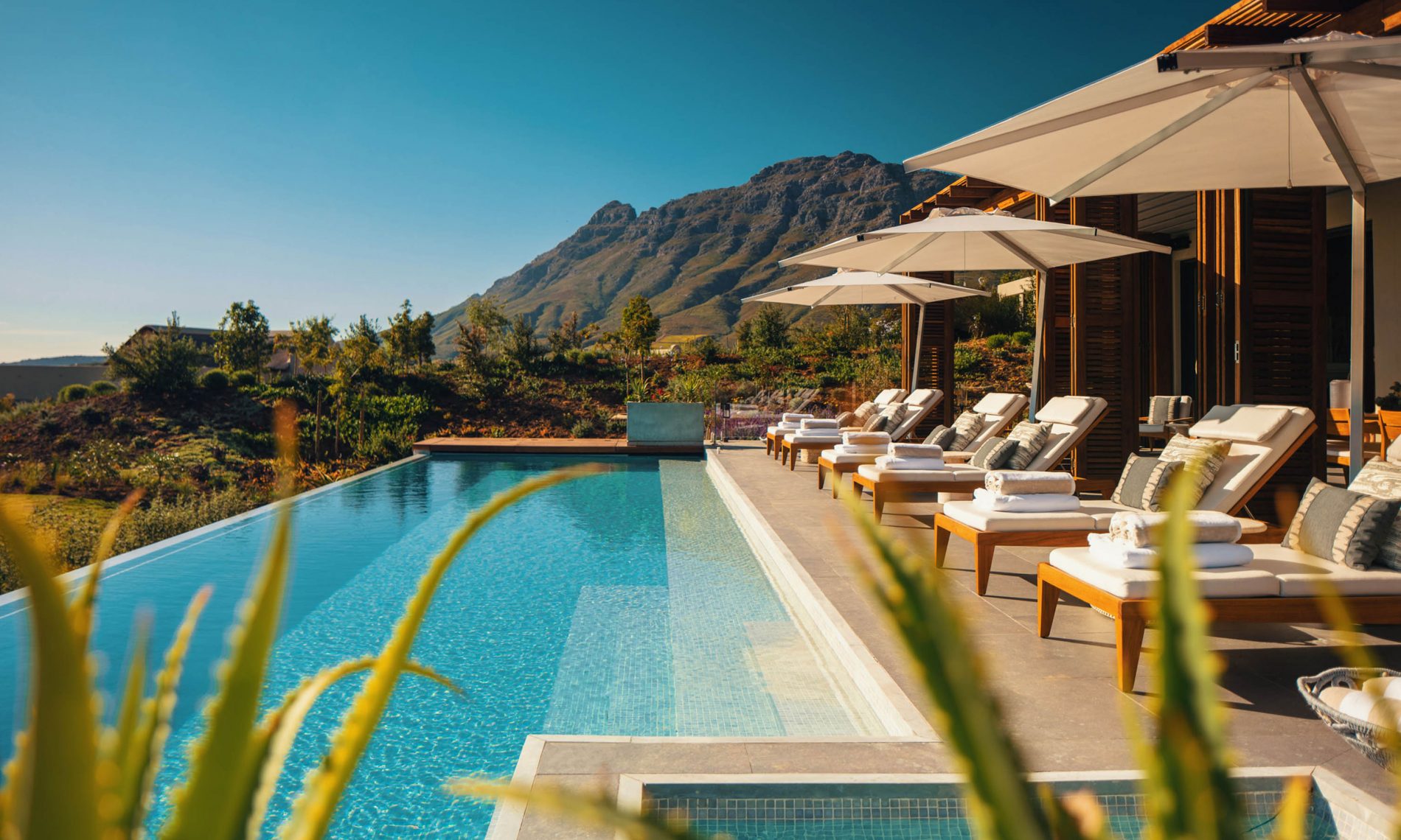 Infinity Pool & Jacuzzi