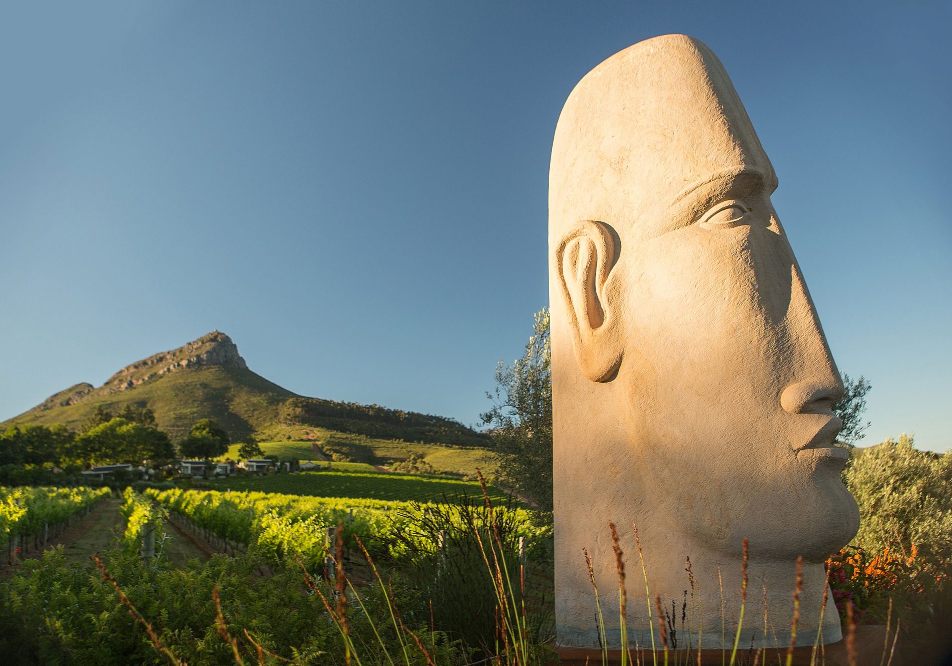 A sculpture of a head by Anton Smit