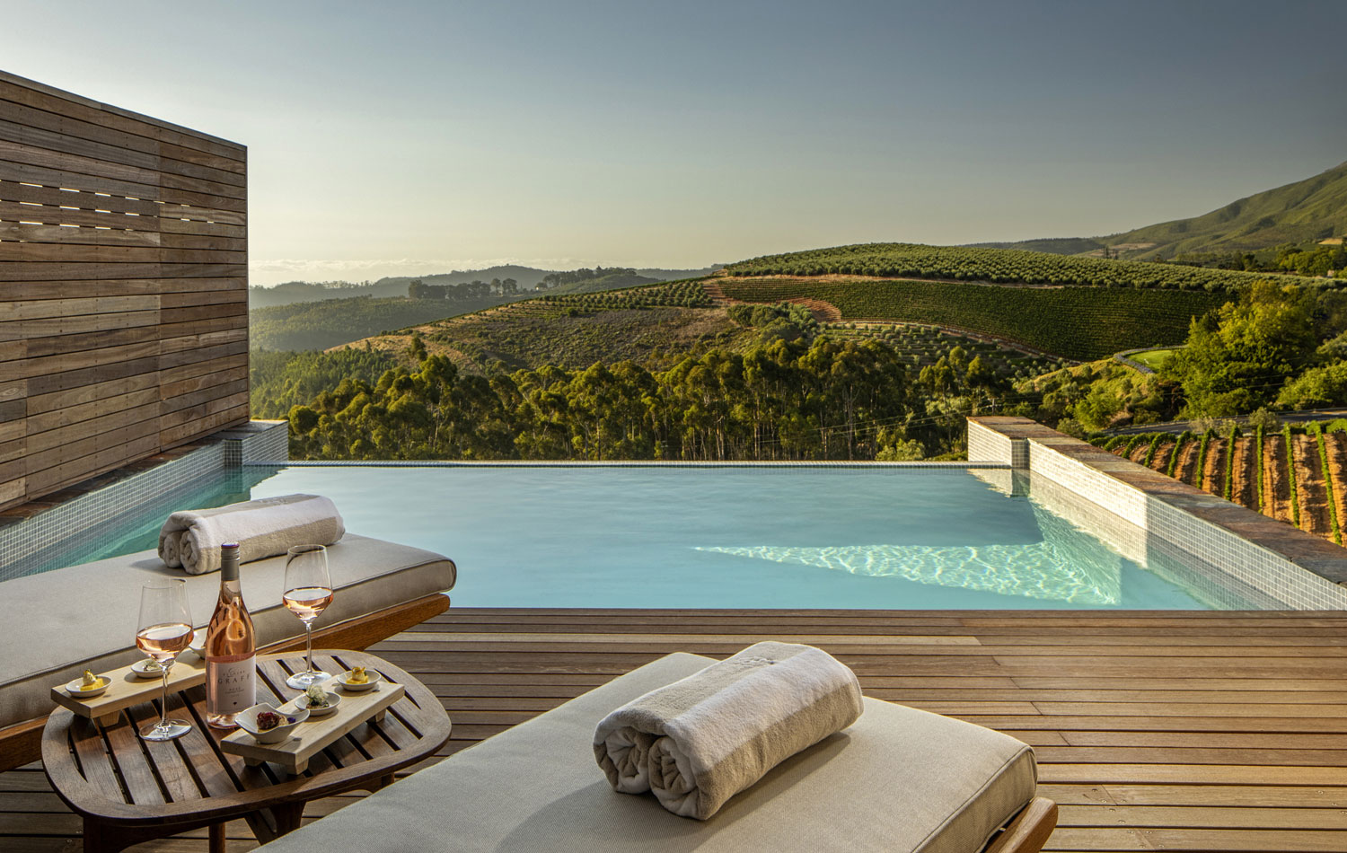 Superior Lodge terrace with plunge pool overlooking vineyards