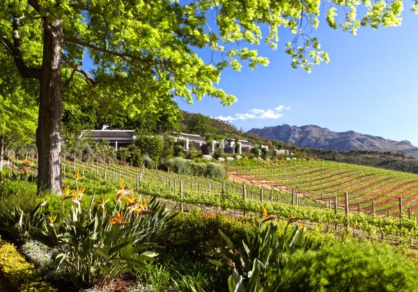 The gardens and vineyards of Delaire Graff Estate