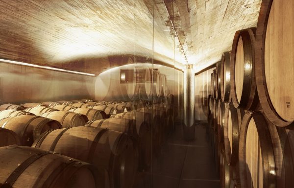 Oak barrels in the cellars of Delaire Graff Estate winery