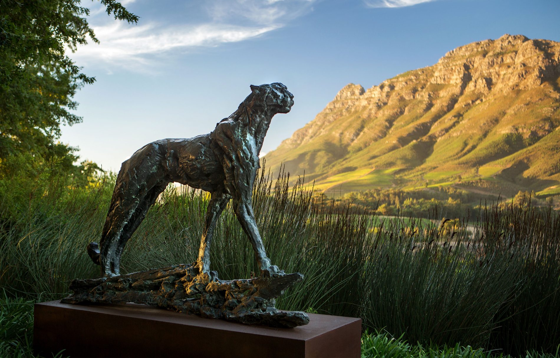 a Dylan Lewis sculpture of a cheetah in the Delaire Graff Estate gardens