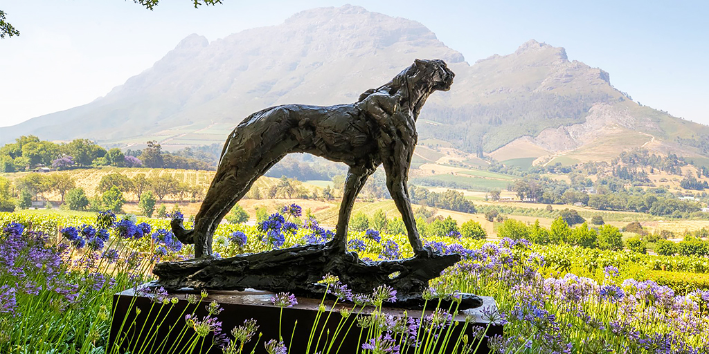 A Dylan Lewis Cheetah sculpture in the gardens of Delaire Graff Estate