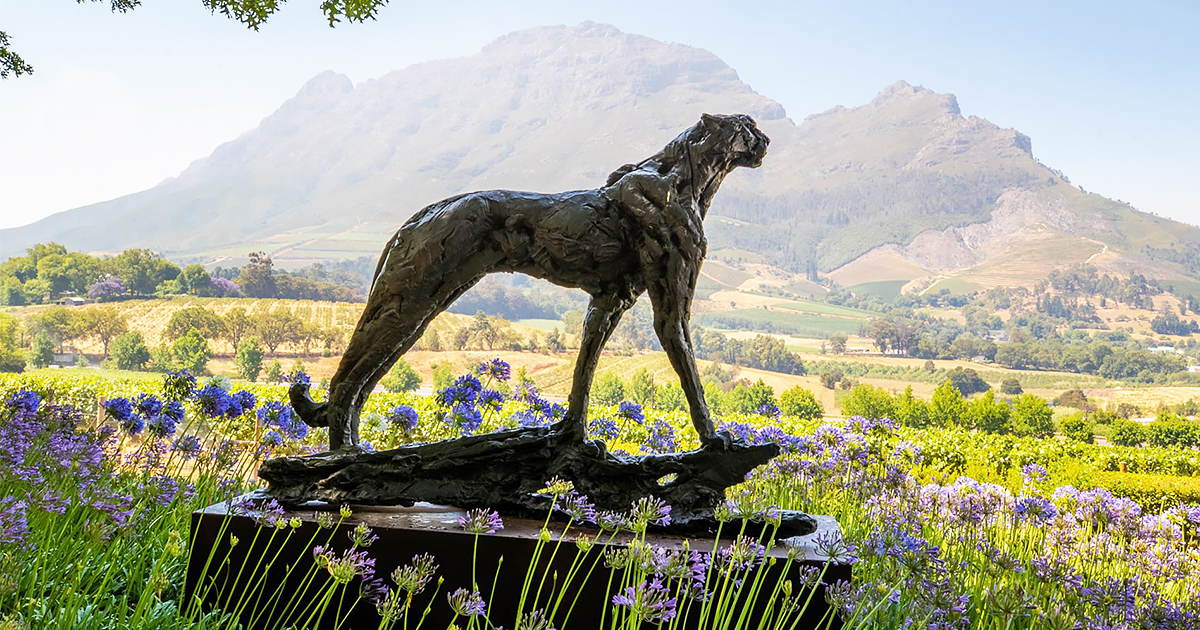A Dylan Lewis Cheetah sculpture in the gardens of Delaire Graff Estate