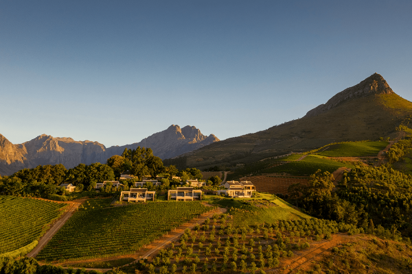 Delaire Graff Estate Best Of Wine Tourism Excellence