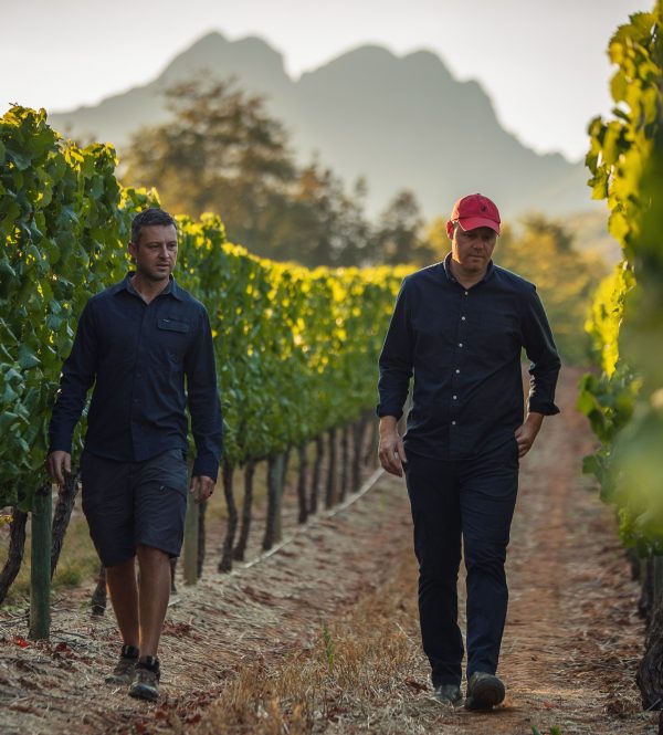 Delaire Graff Estate Winemaker and viticulturist