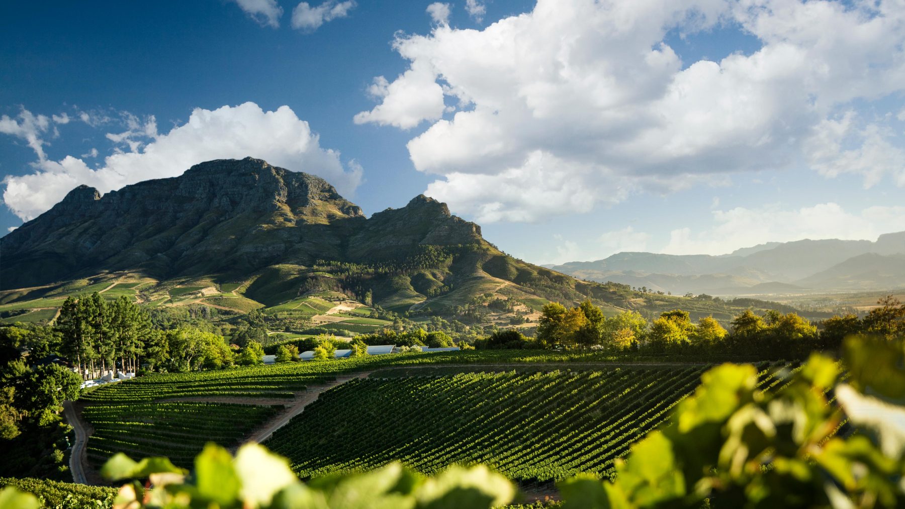 Banghoek-Valley-Stellenbosch-Feature-Image