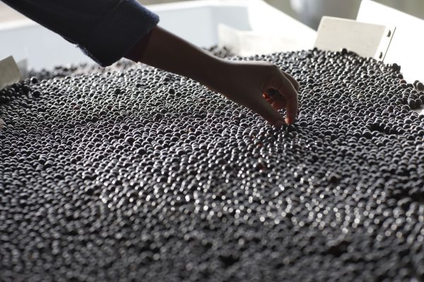 red wine grapes