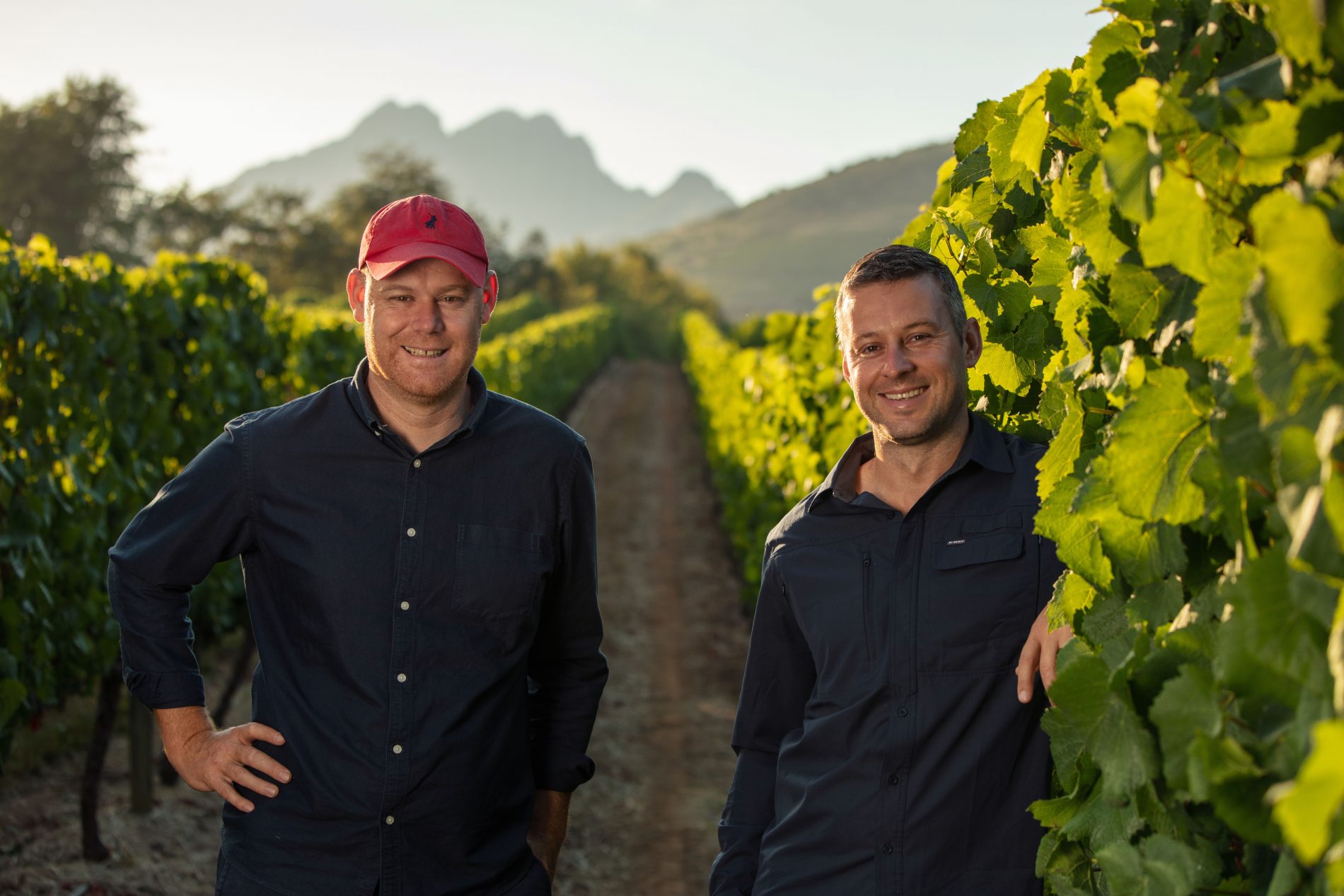 Purchase award-winning Delaire Graff Estate Wine